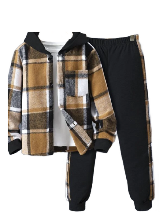 Boys Plaid Print Button Front Hooded Shirt