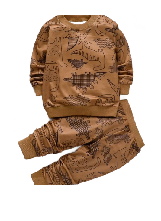 Boys Dinosaur Print Sweats